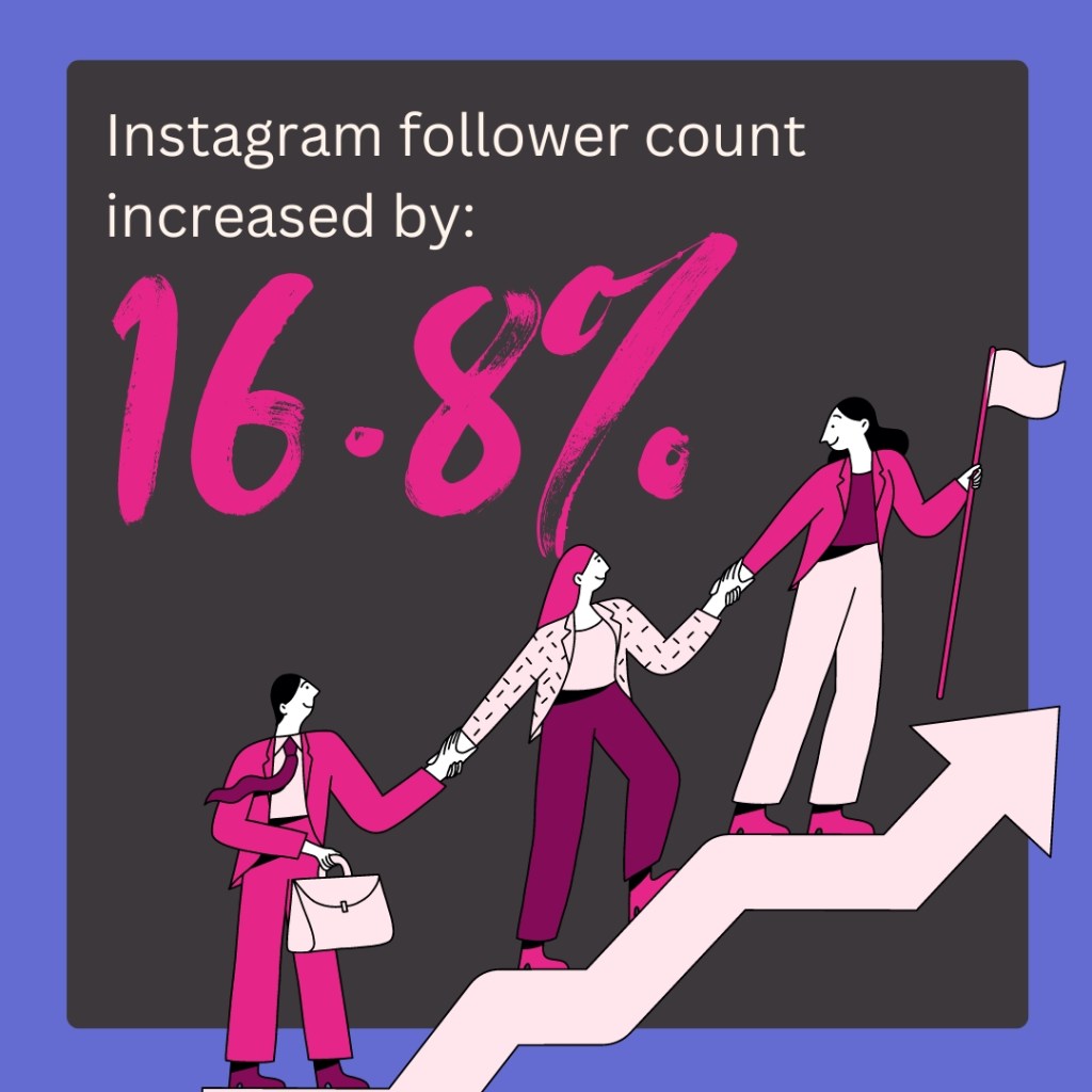 instagram followers increase by 16.8%