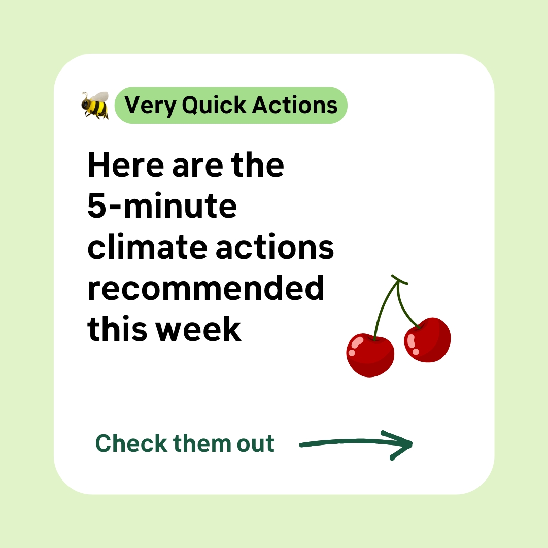 climate club instagram content creation example